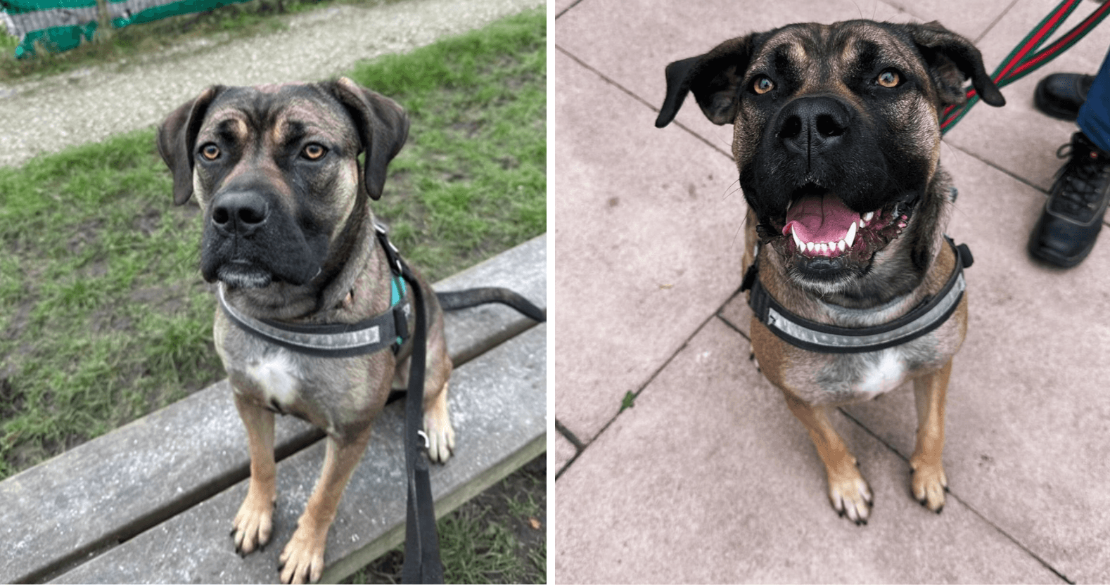 editorial-image-dimensions-1578-x-832-11-9