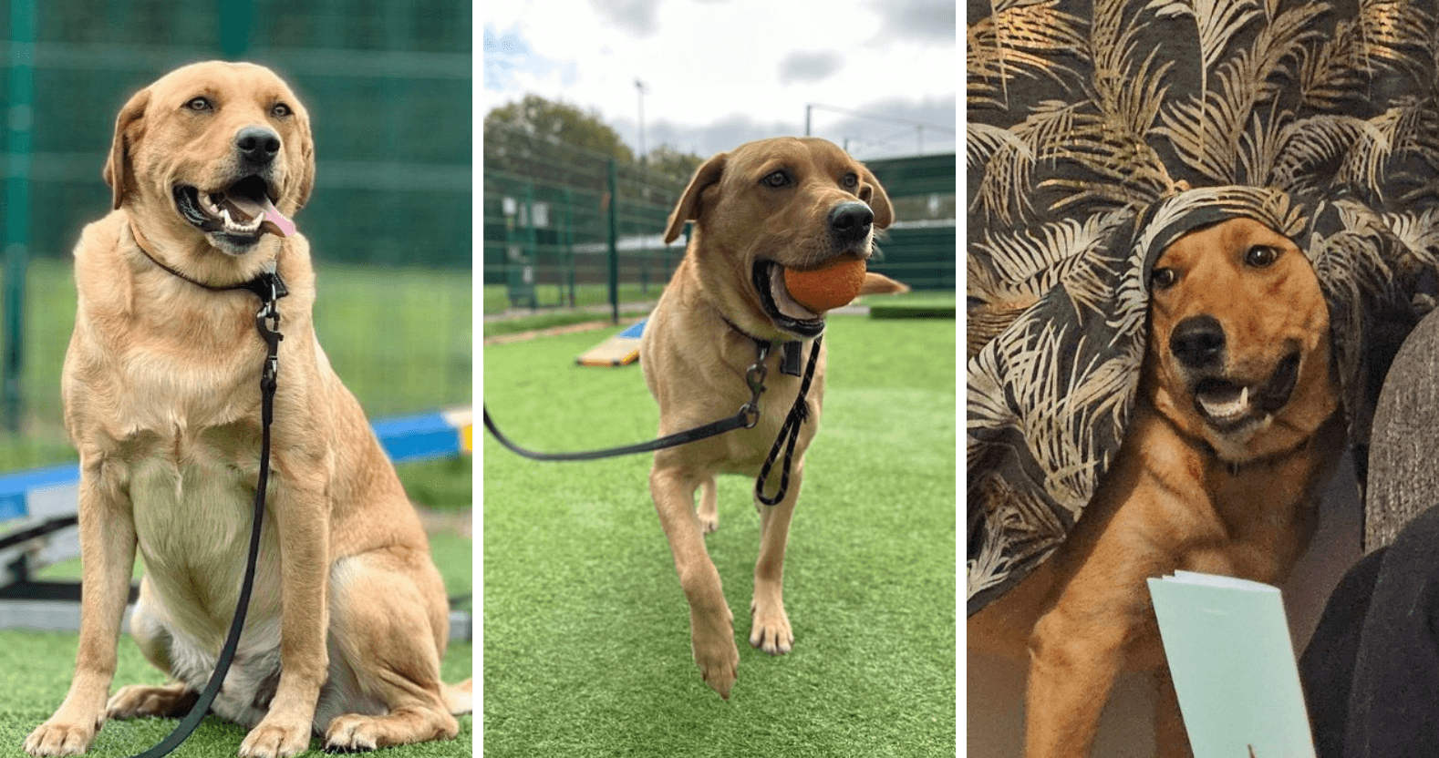 editorial-image-dimensions-1578-x-832-11-10