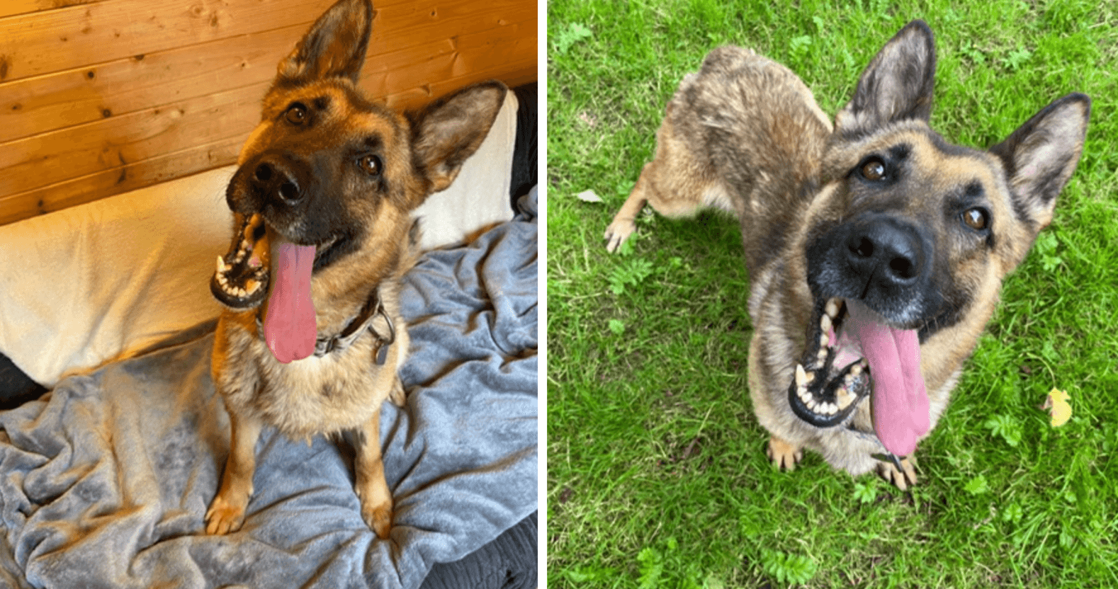 editorial-image-dimensions-1578-x-832-11-11