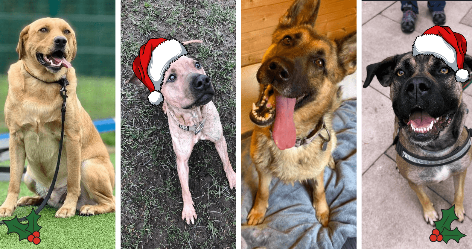 editorial-image-dimensions-1578-x-832-12-2