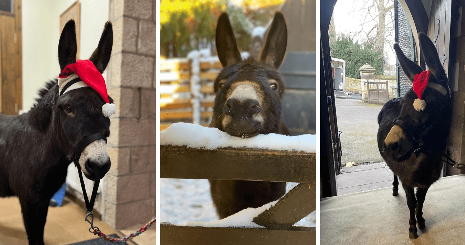 editorial-image-dimensions-1578-x-832-12-5