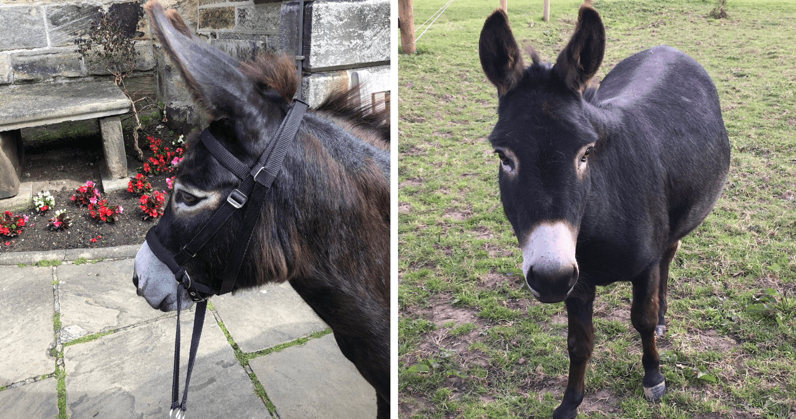 editorial-image-dimensions-1578-x-832-12-6