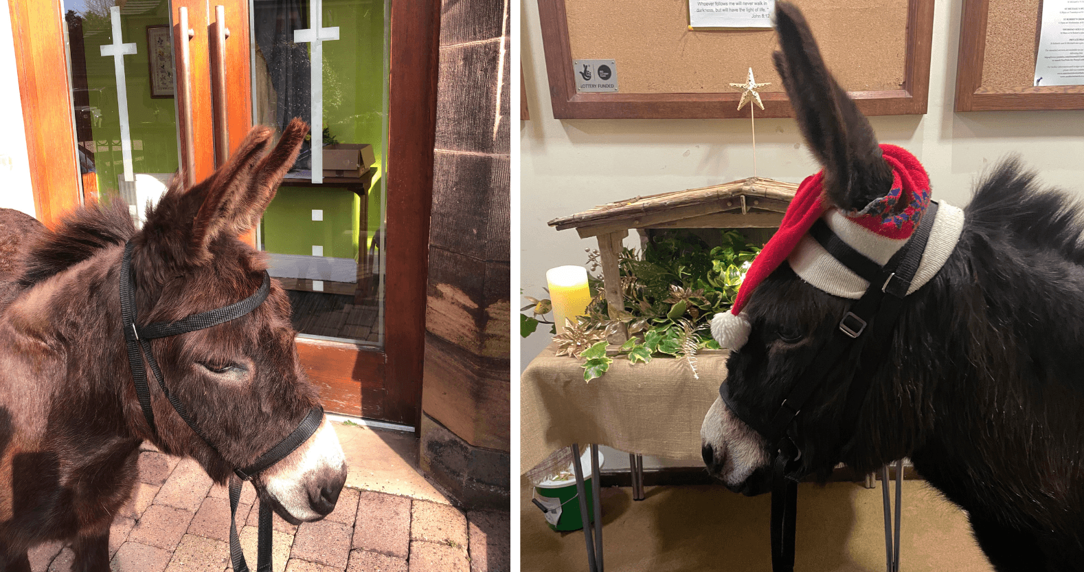 editorial-image-dimensions-1578-x-832-12-copy