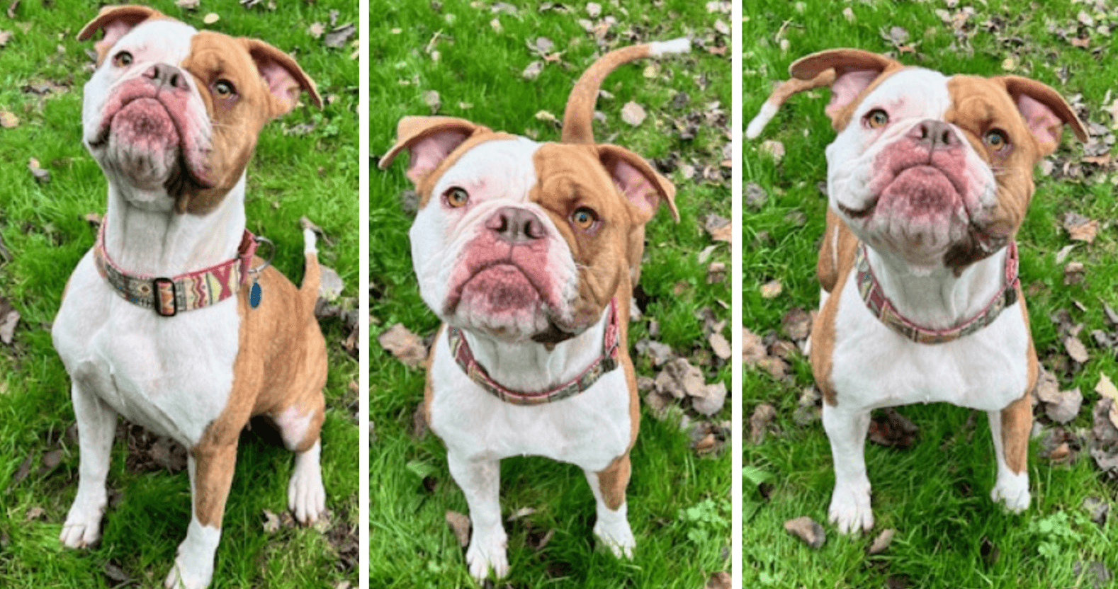 editorial-image-dimensions-1578-x-832-12