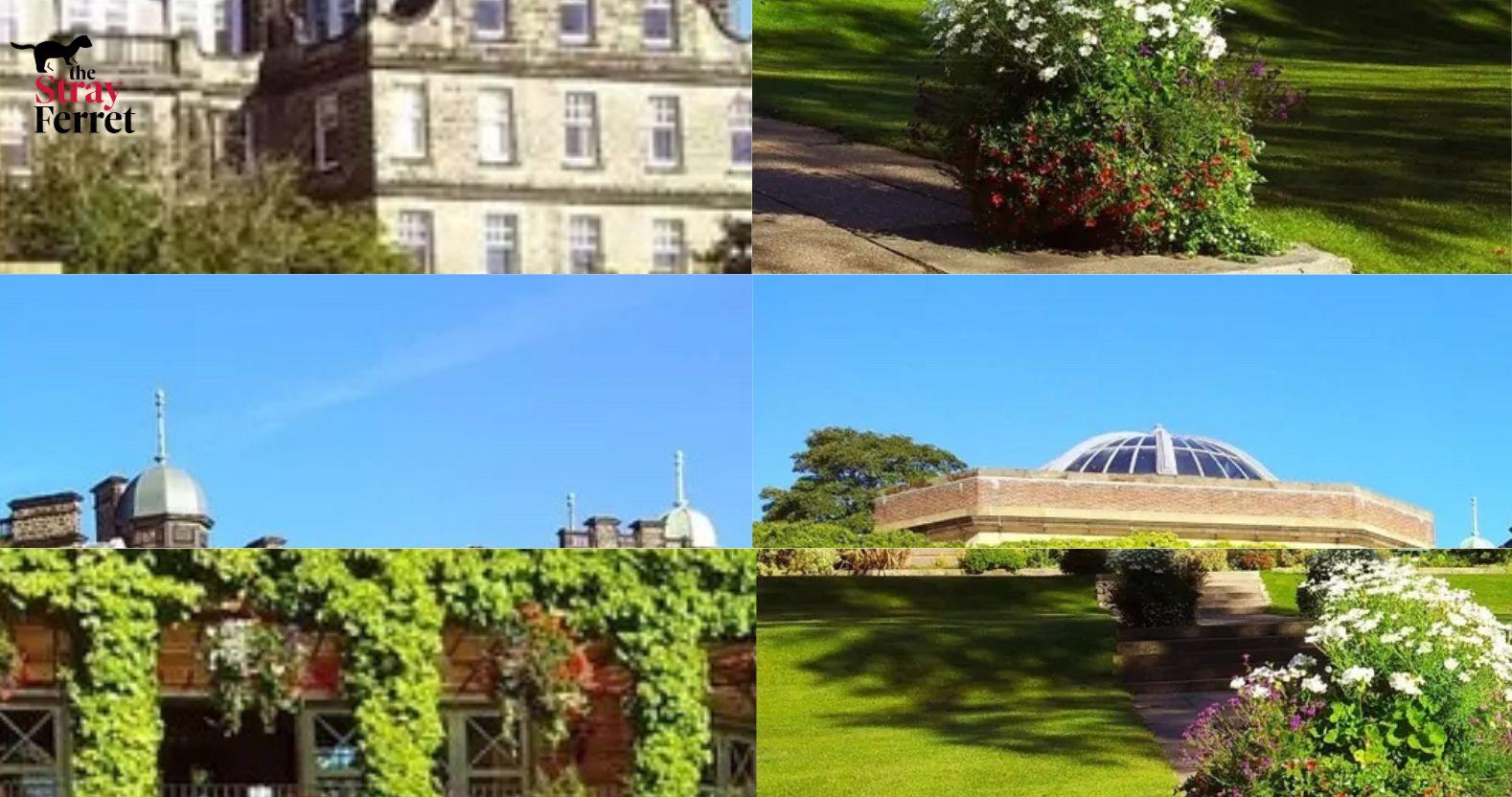 editorial-image-dimensions-1578-x-832