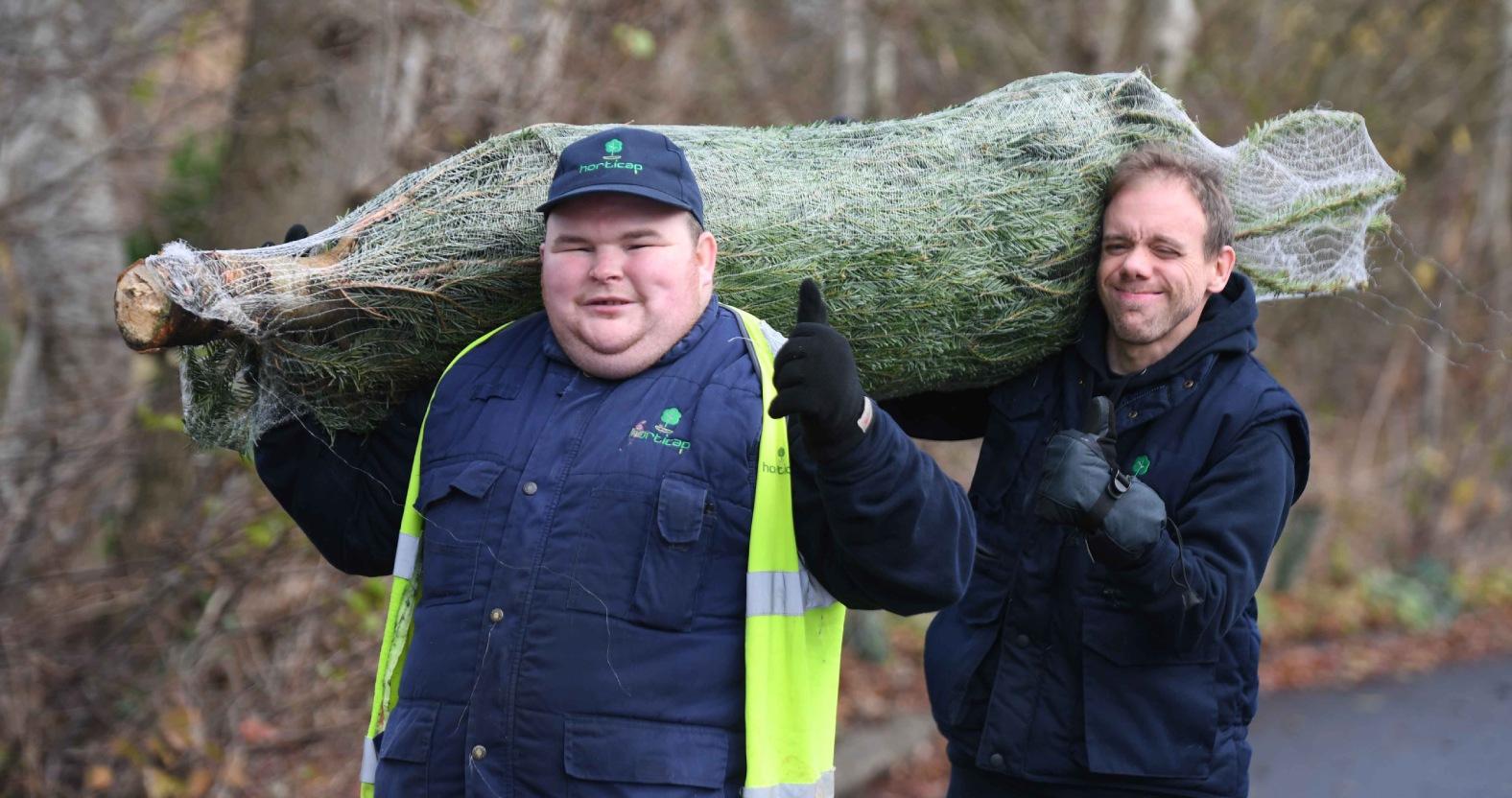 horticap-students-liam-dodds-and-simon-cox-help-carry-christmas-trees-for-customers