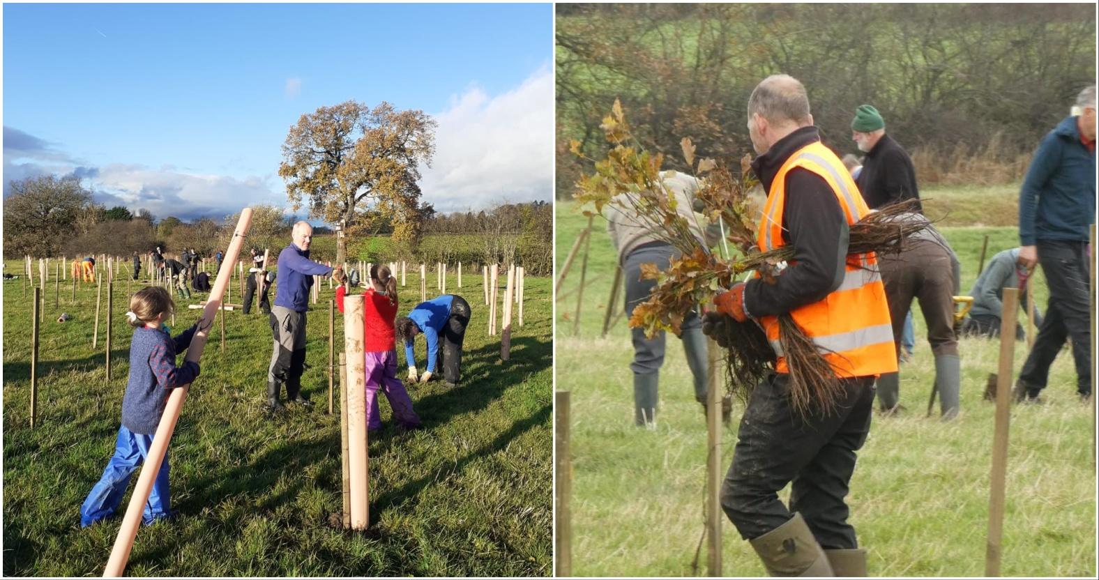 mixcollage-10-dec-2024-10-31-am-617