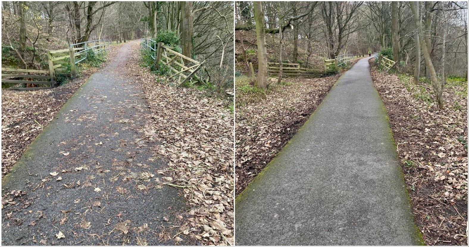 mixcollage-12-dec-2024-05-01-pm-6711