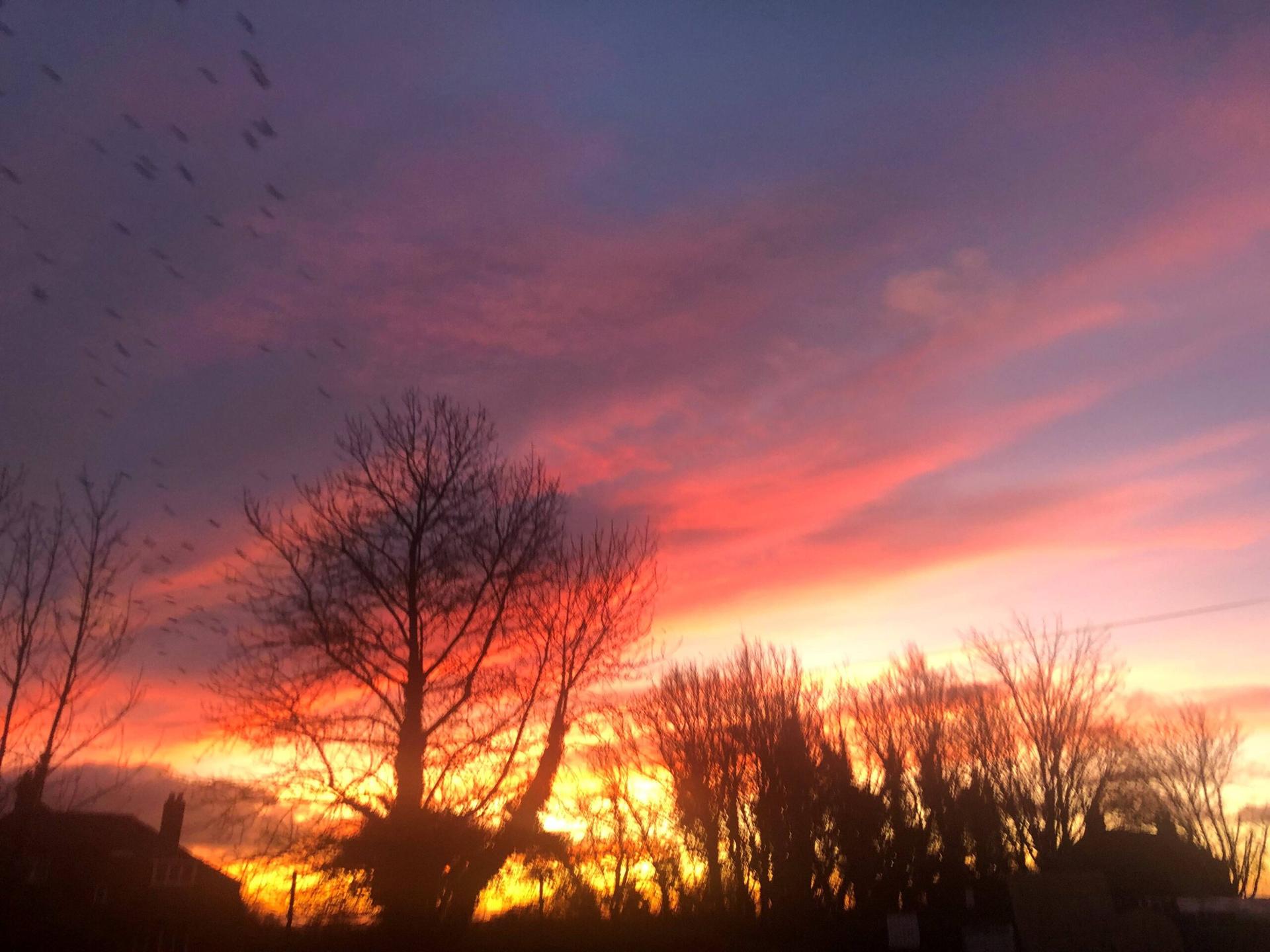 ripon-30th-dec-2024-dawn