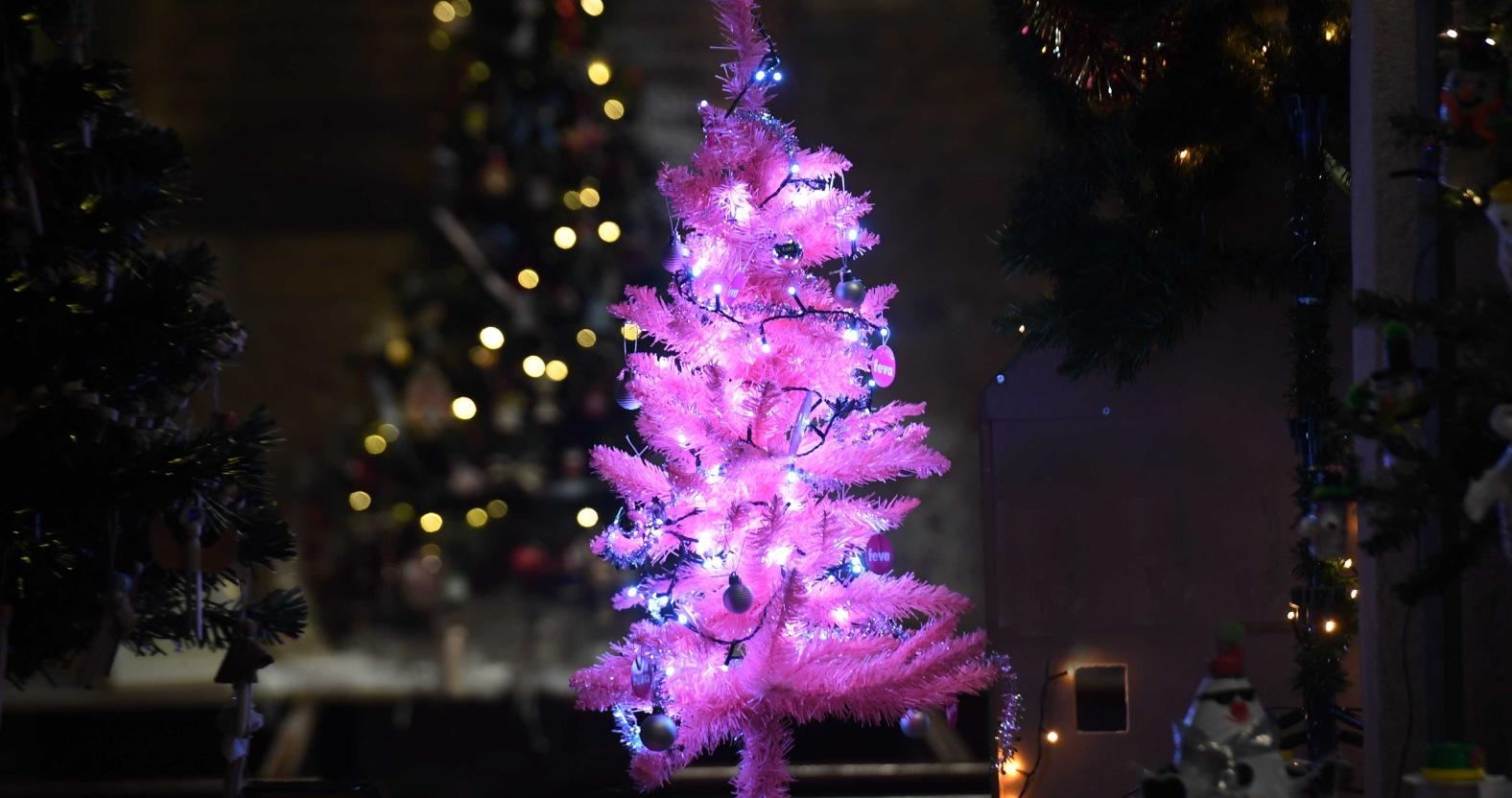 a-tiny-pink-chritmas-tree-on-show-picture-gerard-binks