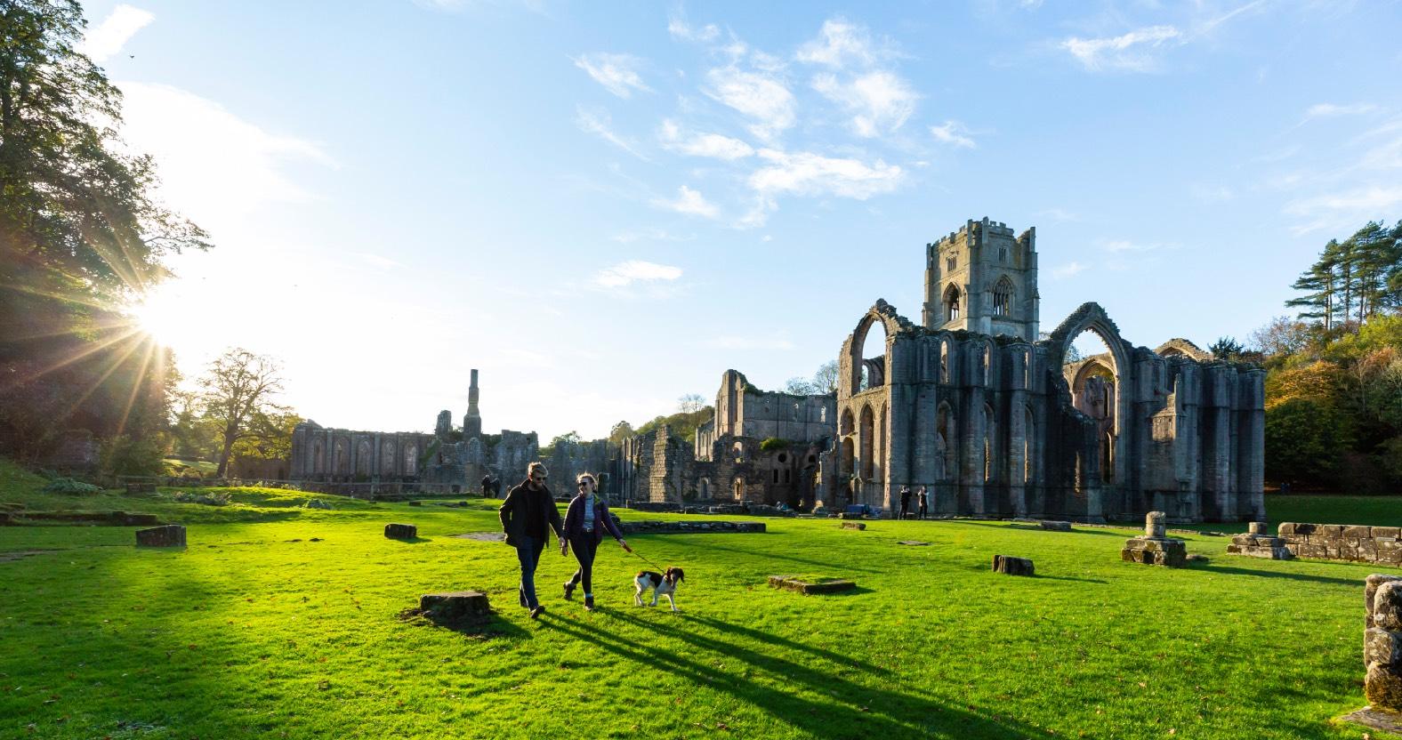webfountainsabbey-dogs3