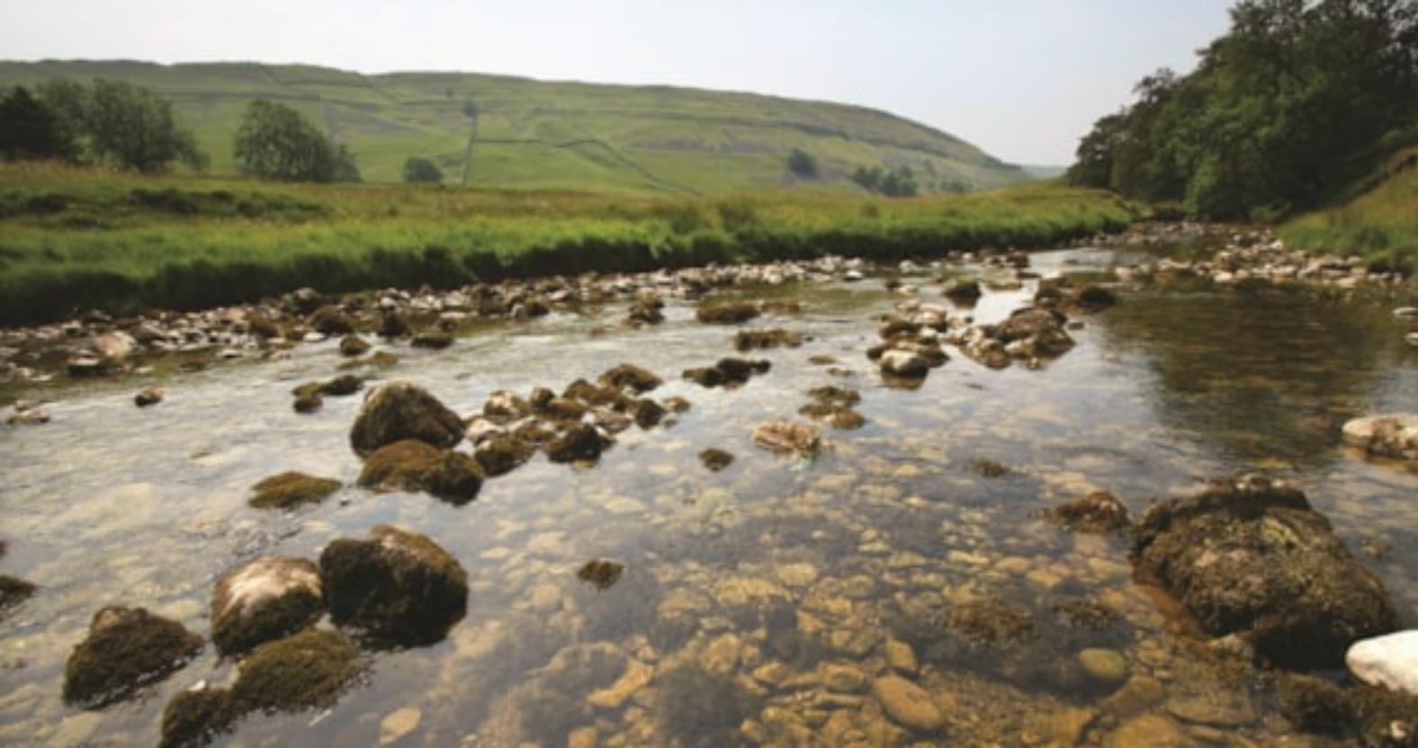 19318e1c6ab747d9bf16eb01ee4d38ce