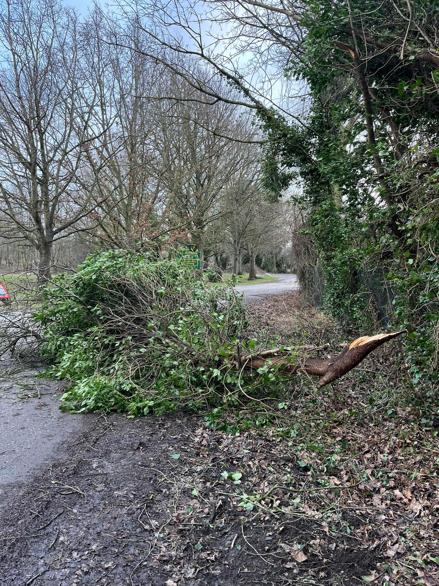 475020349_1693753678125667_8428534685313313276_n