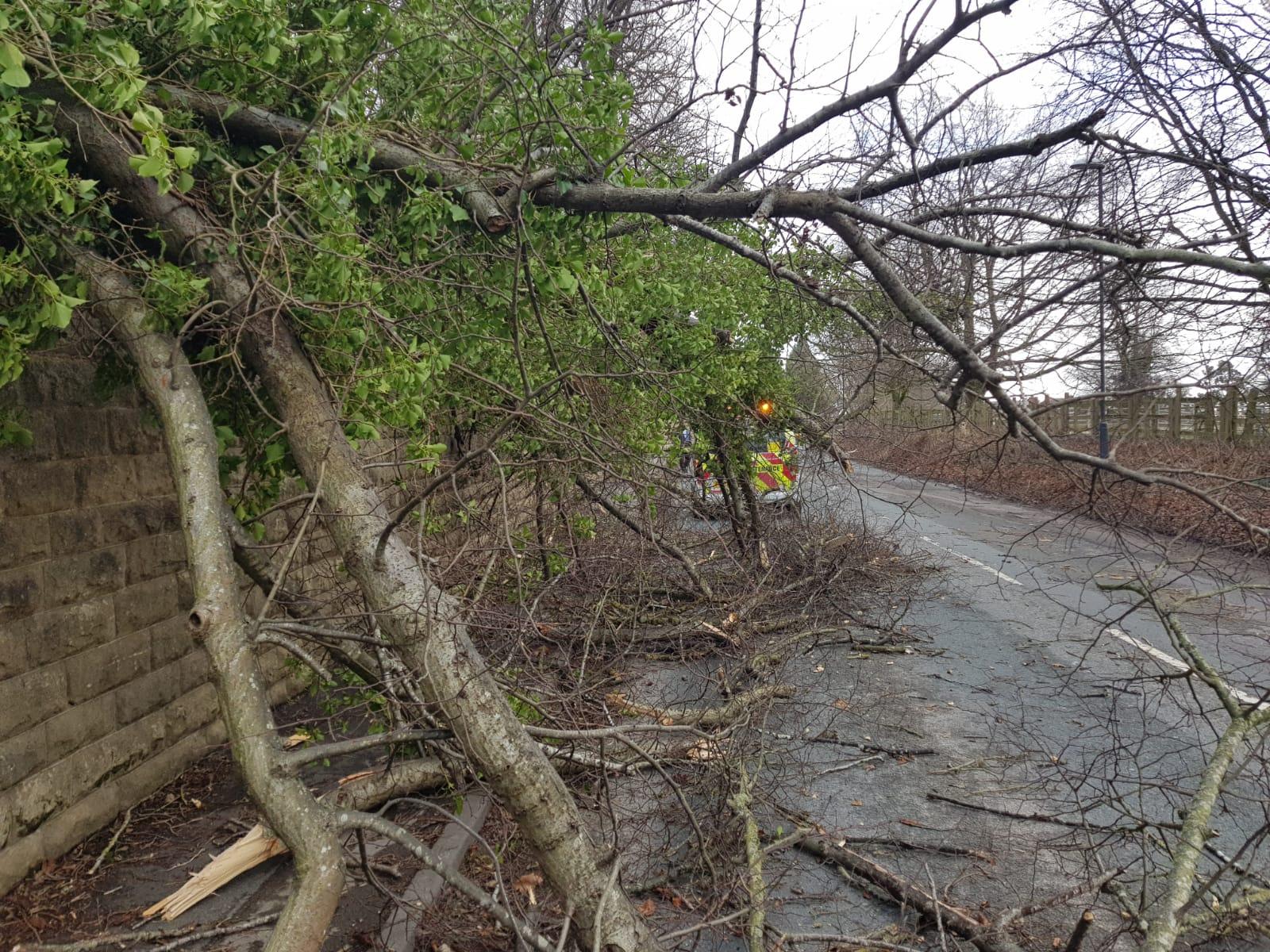 837d92e7-f1d3-4f5b-86c3-b91ada1bf007