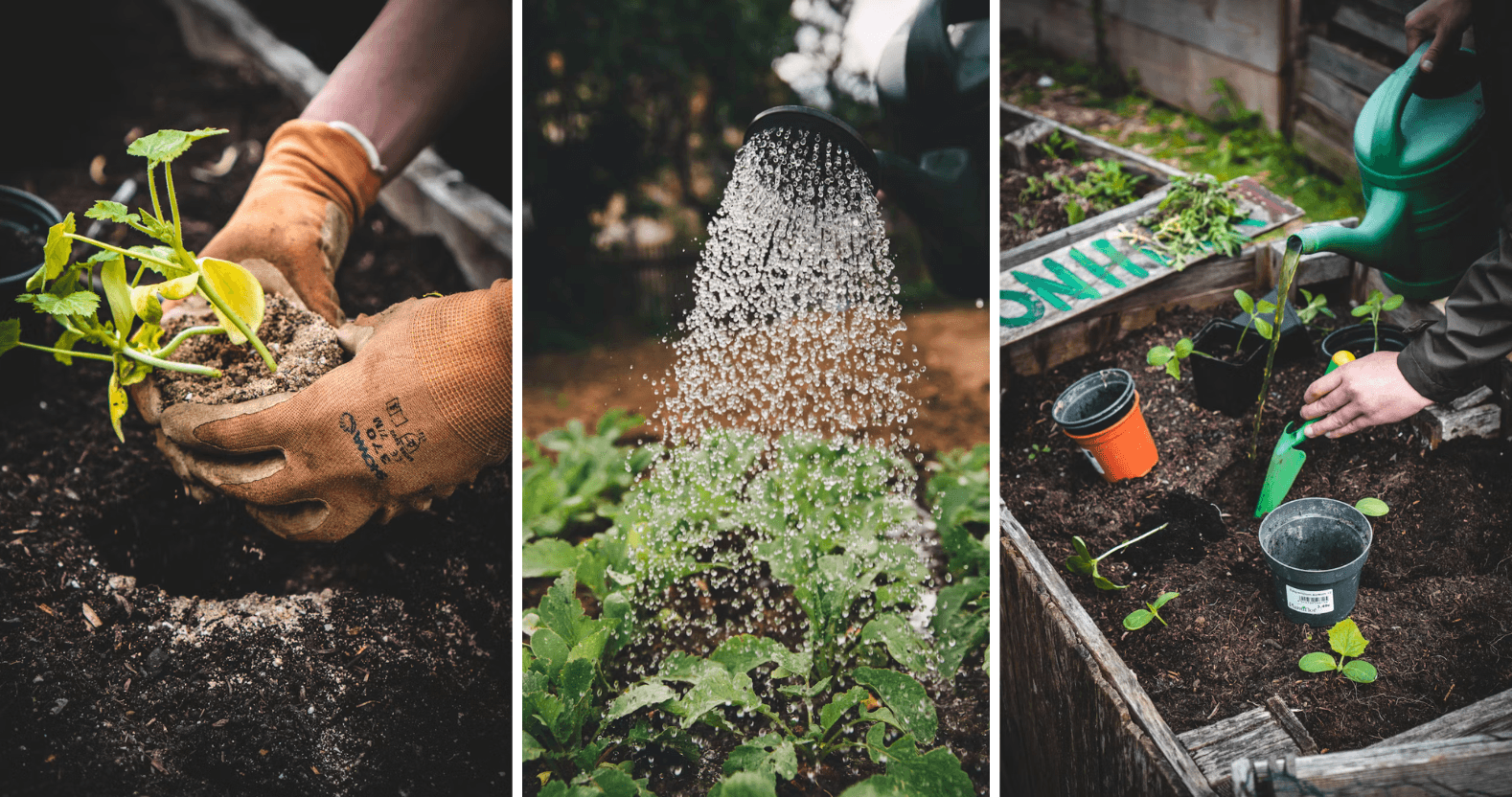 editorial-image-dimensions-1576-x-832-15