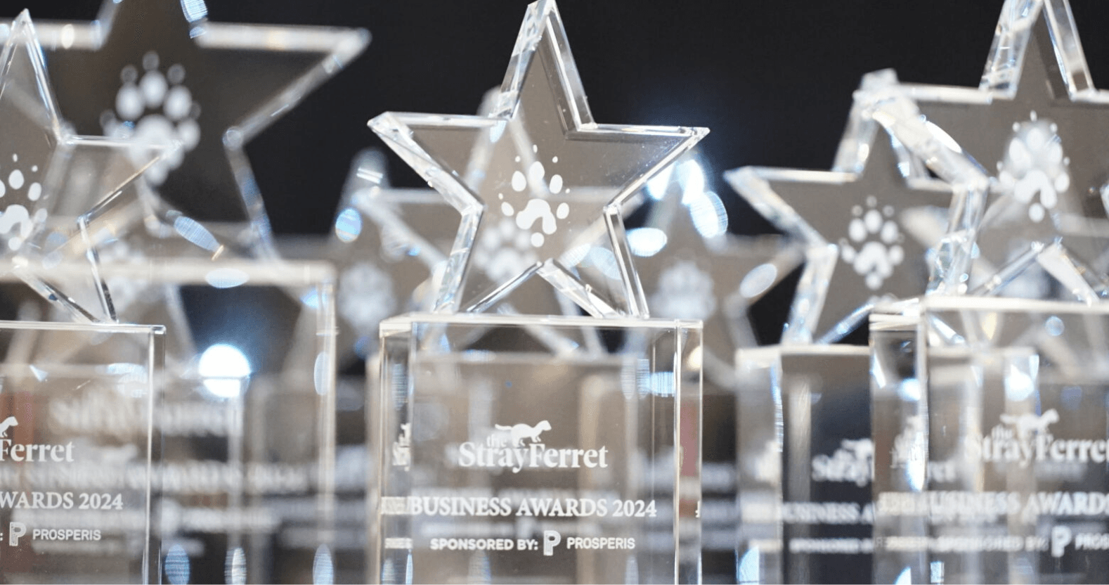 editorial-image-dimensions-1576-x-832-2-3