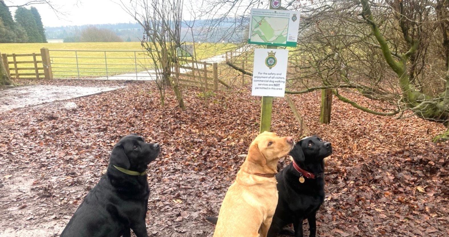 image-2025-01-23t140634-189