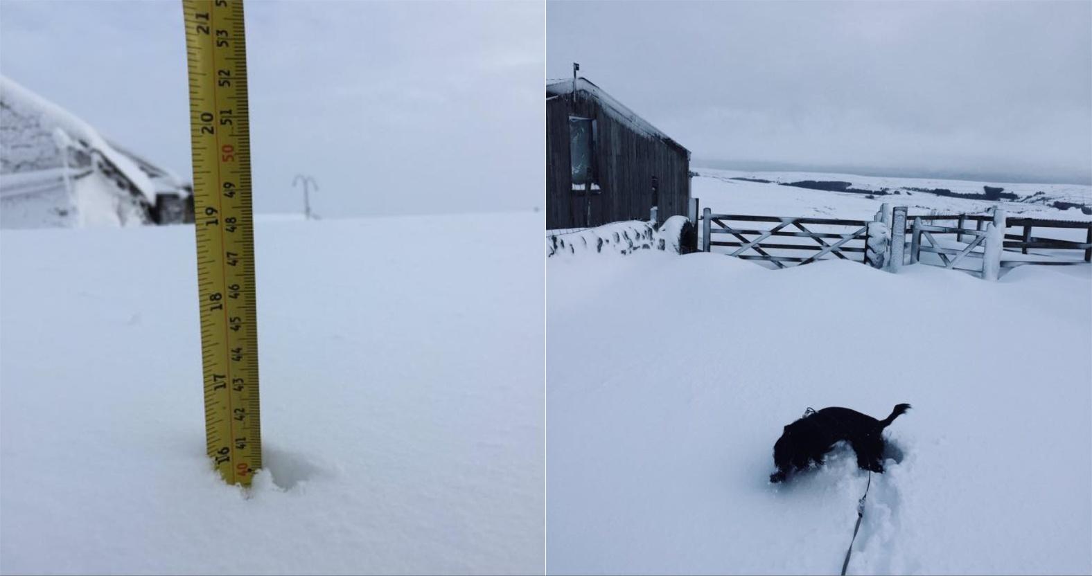 mixcollage-06-jan-2025-10-52-am-6735