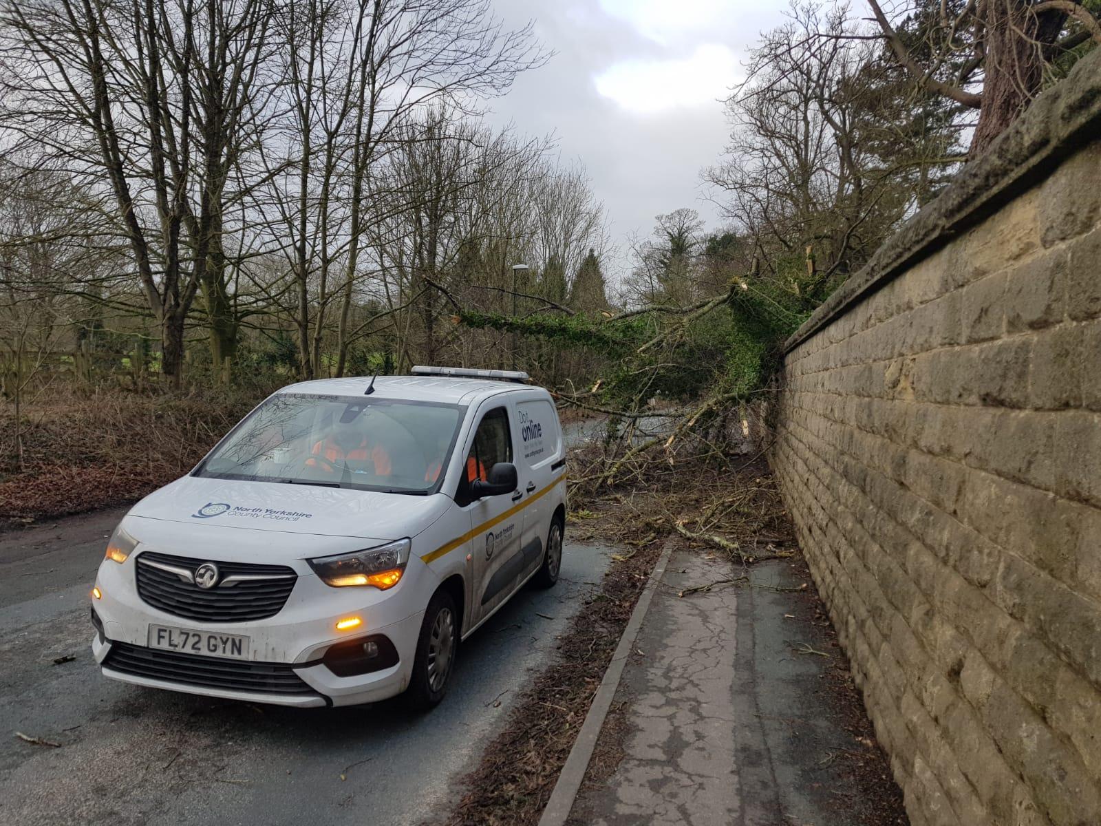 photo-2025-01-24-11-56-09