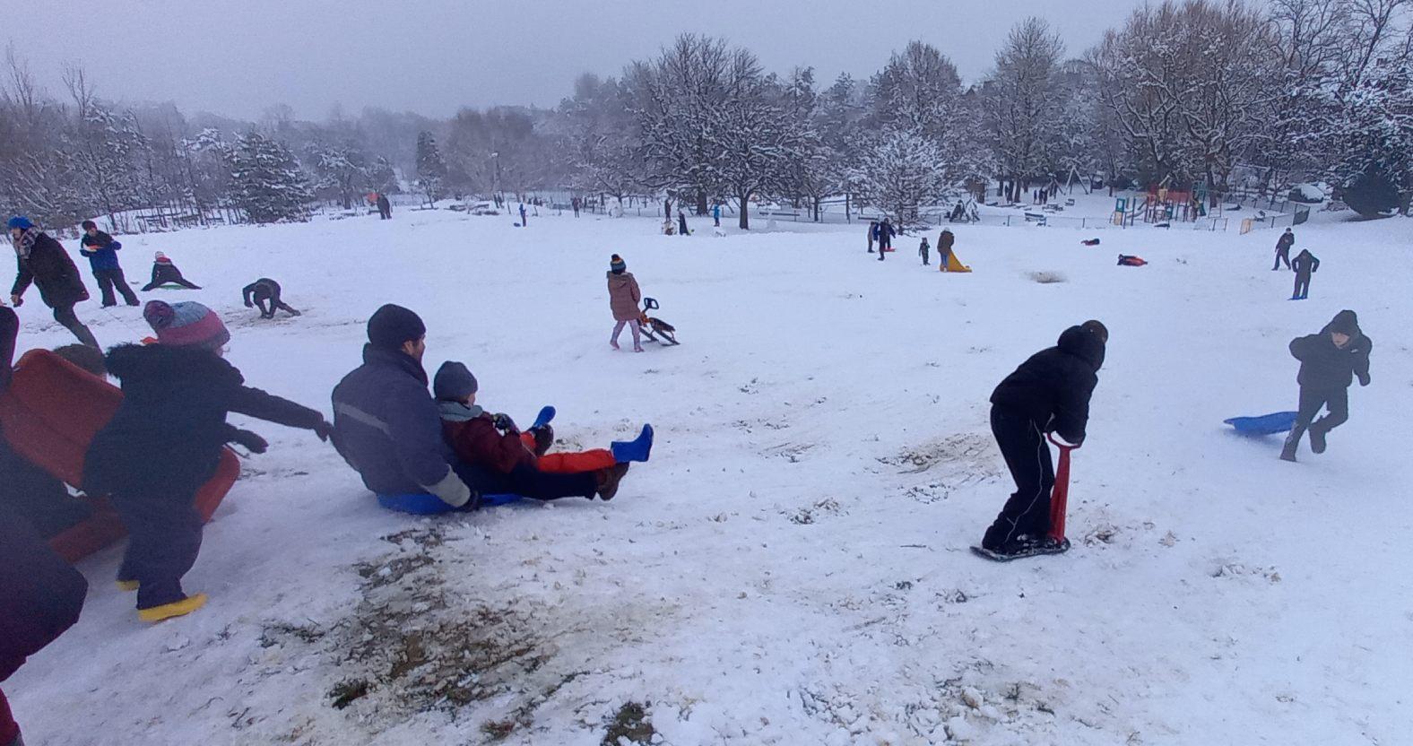 snow-valleygardens-sledging2