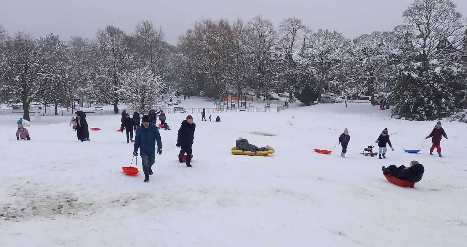 snow-valleygardens-sledging4