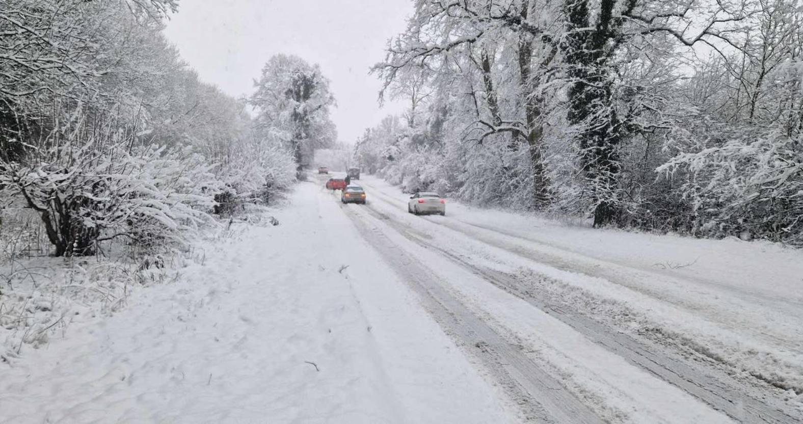 southstainley-snow-crop