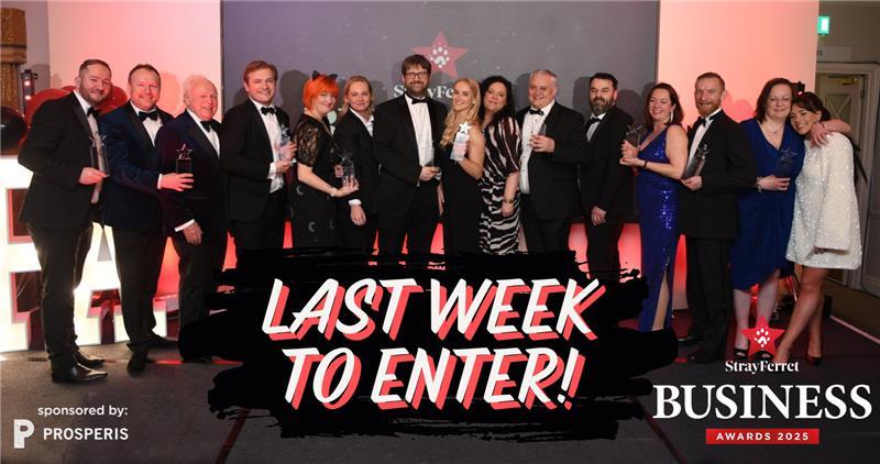 stray-ferret-business-awards-graphic-2