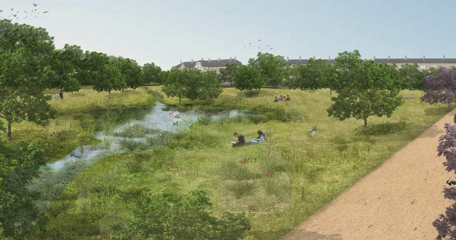 hgte-strayvision-hookstonesource