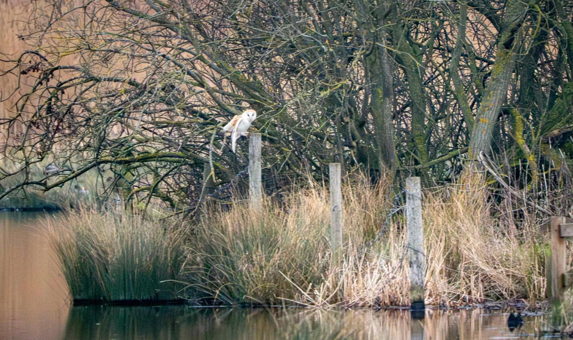 p2165616-enhanced-nr-3