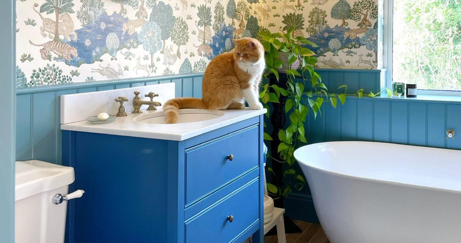 web64695909_1095851785873637_2189408688303002871_n