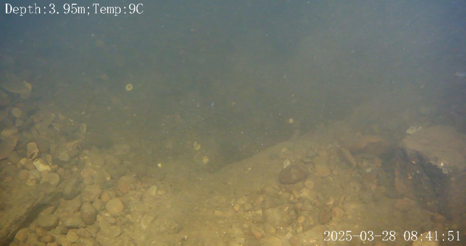 adammakewell-bombcrater