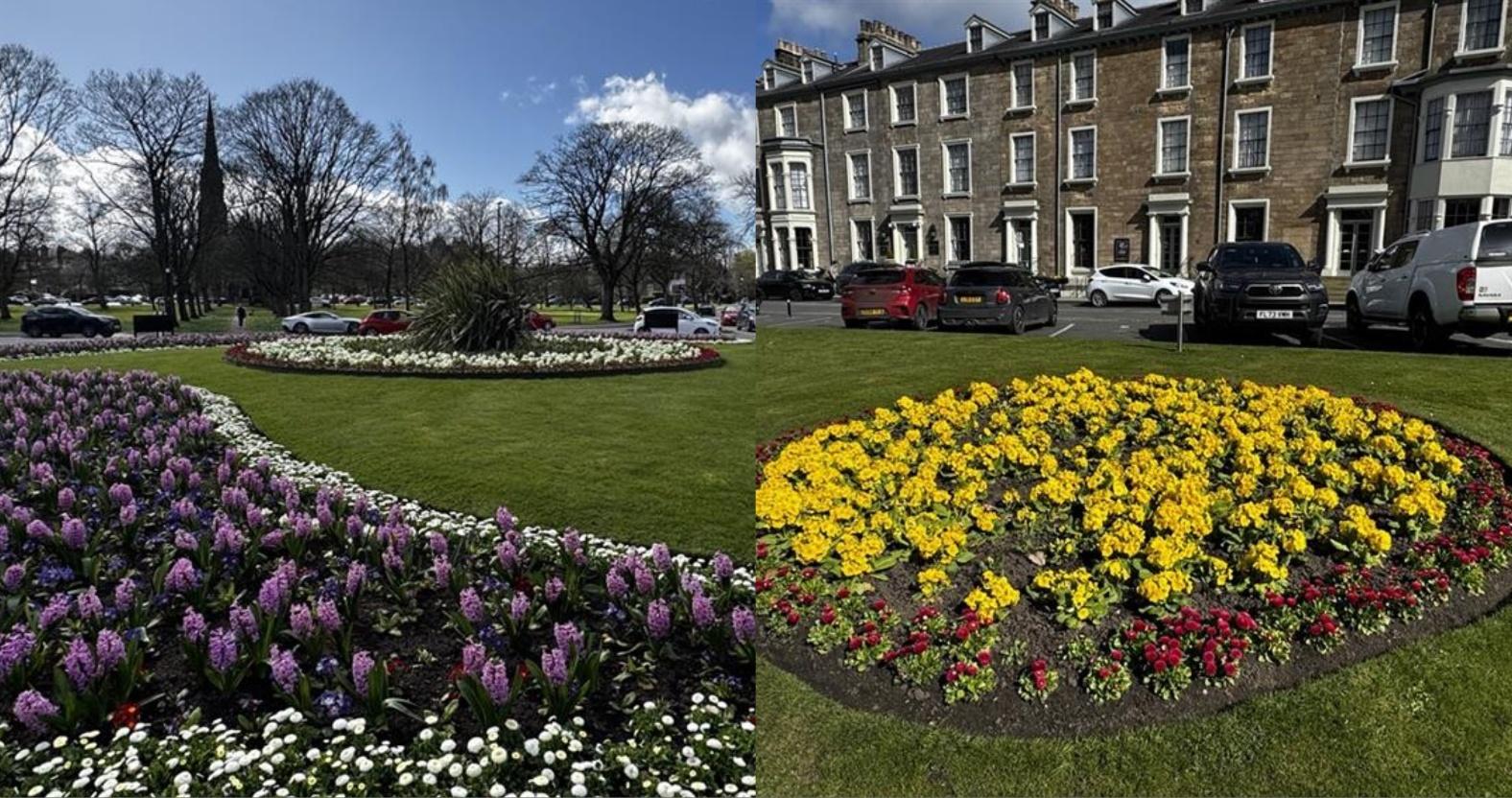 mixcollage-28-mar-2025-03-07-pm-35