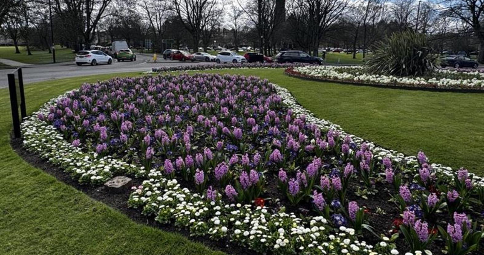 e66fb003-1410-4758-9416-8b7971aadcaf