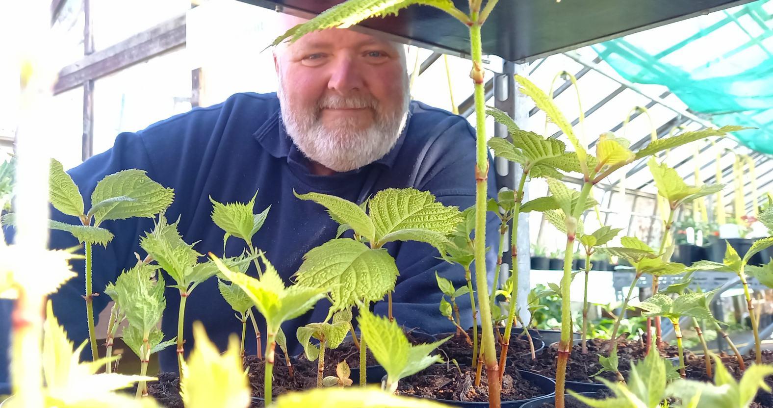 horticap-philairey-leaves