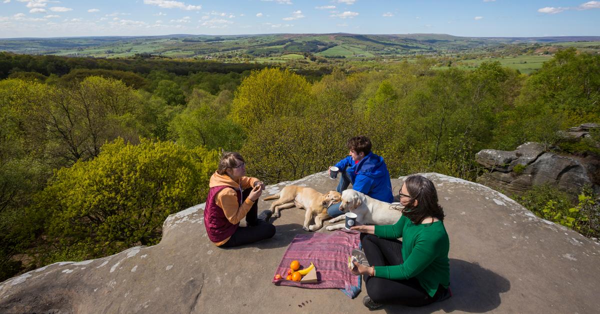 visitors-at-brimham-rocks-north-yorkshire