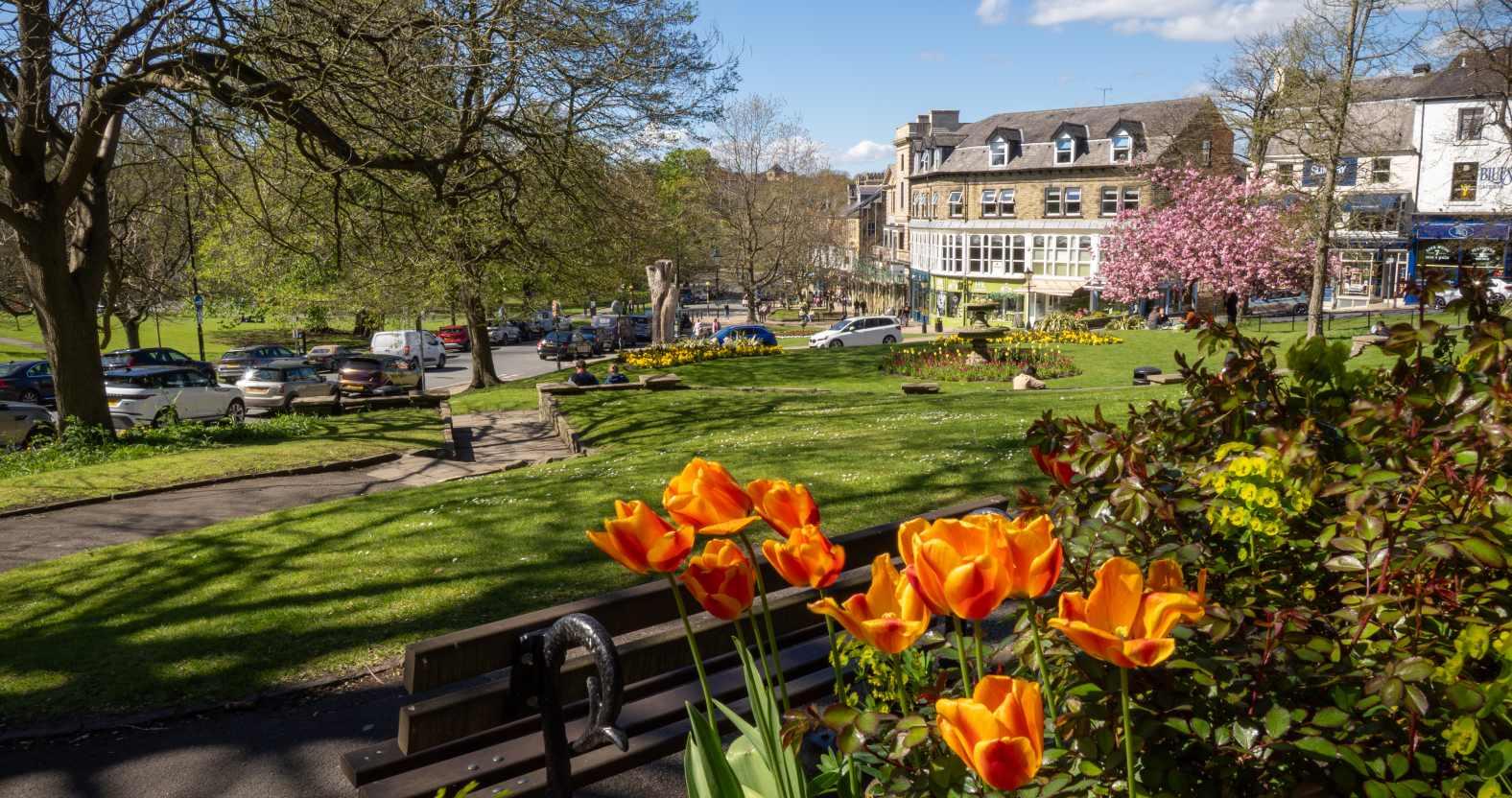 harrogate-montpellier-spring