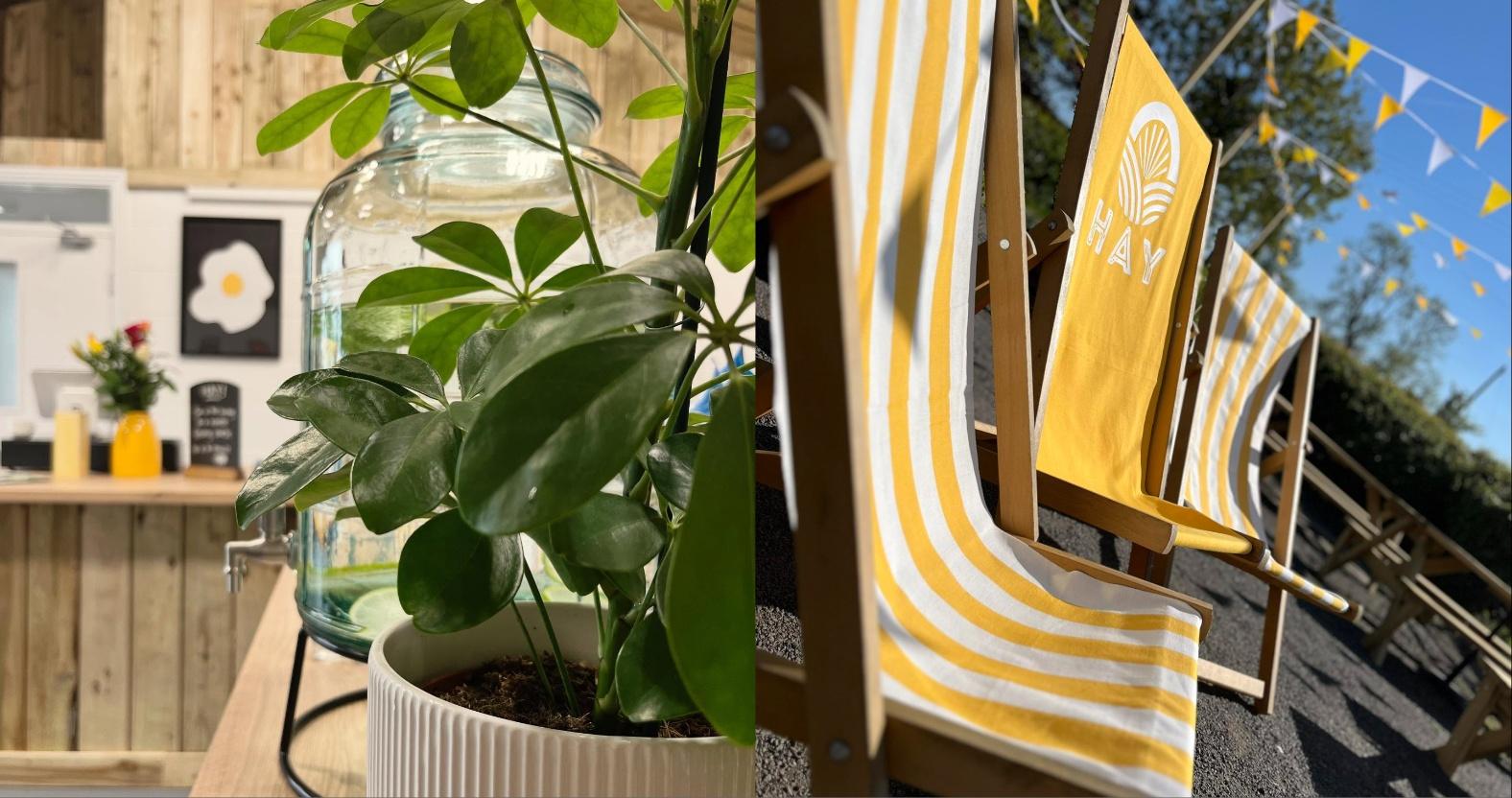 mixcollage-14-may-2025-11-41-am-4136