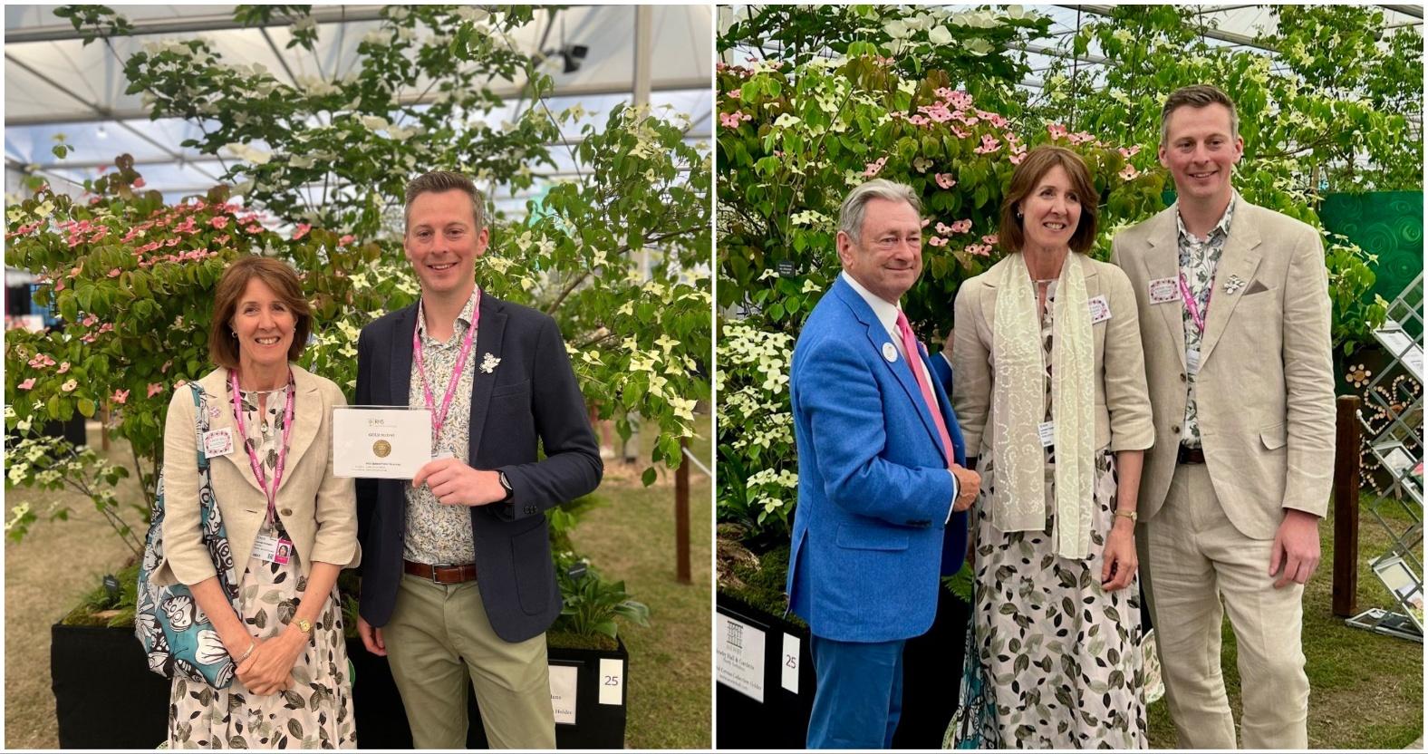 mixcollage-20-may-2025-12-00-pm-5745