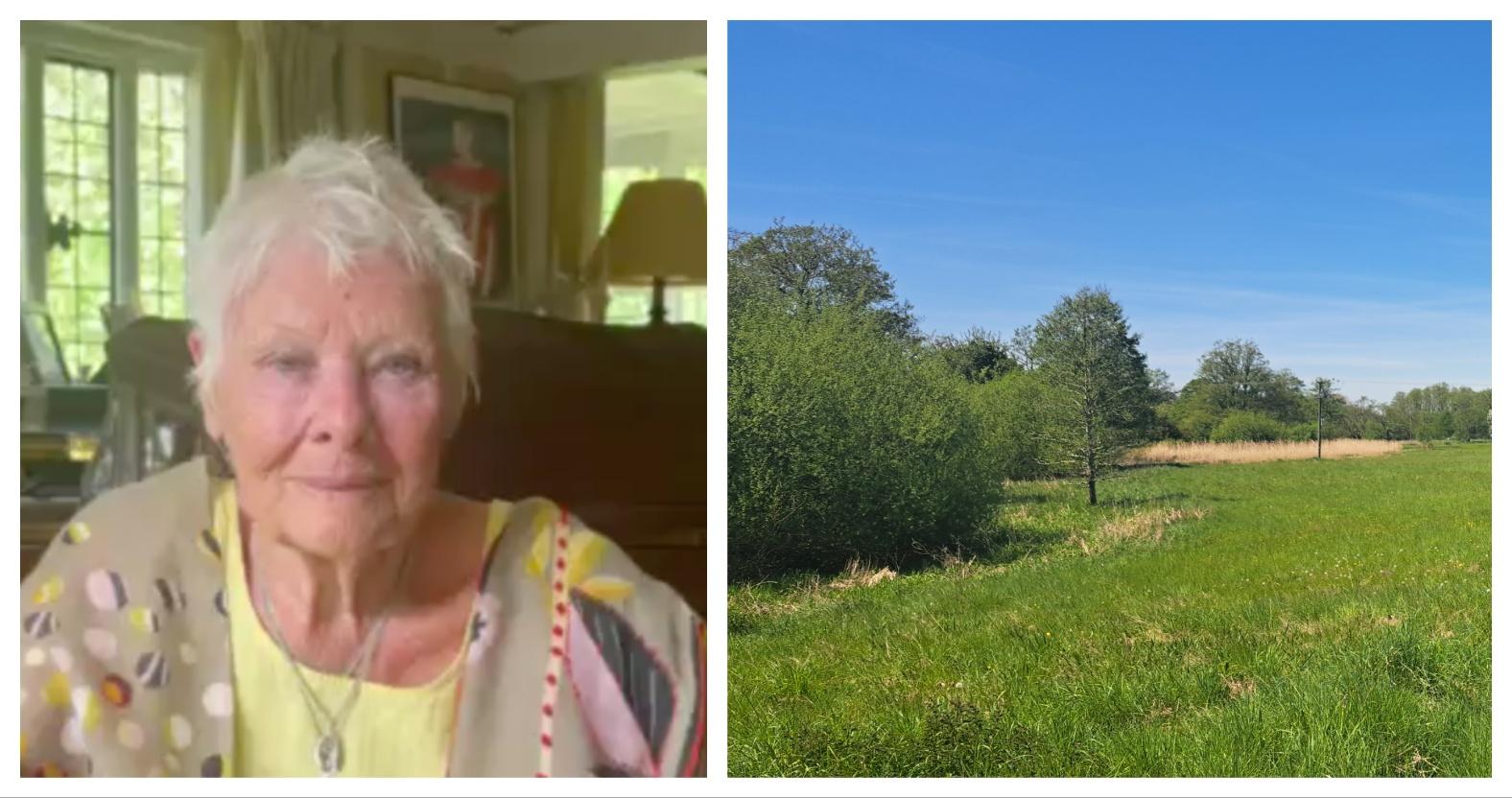 mixcollage-29-may-2025-09-29-pm-5829