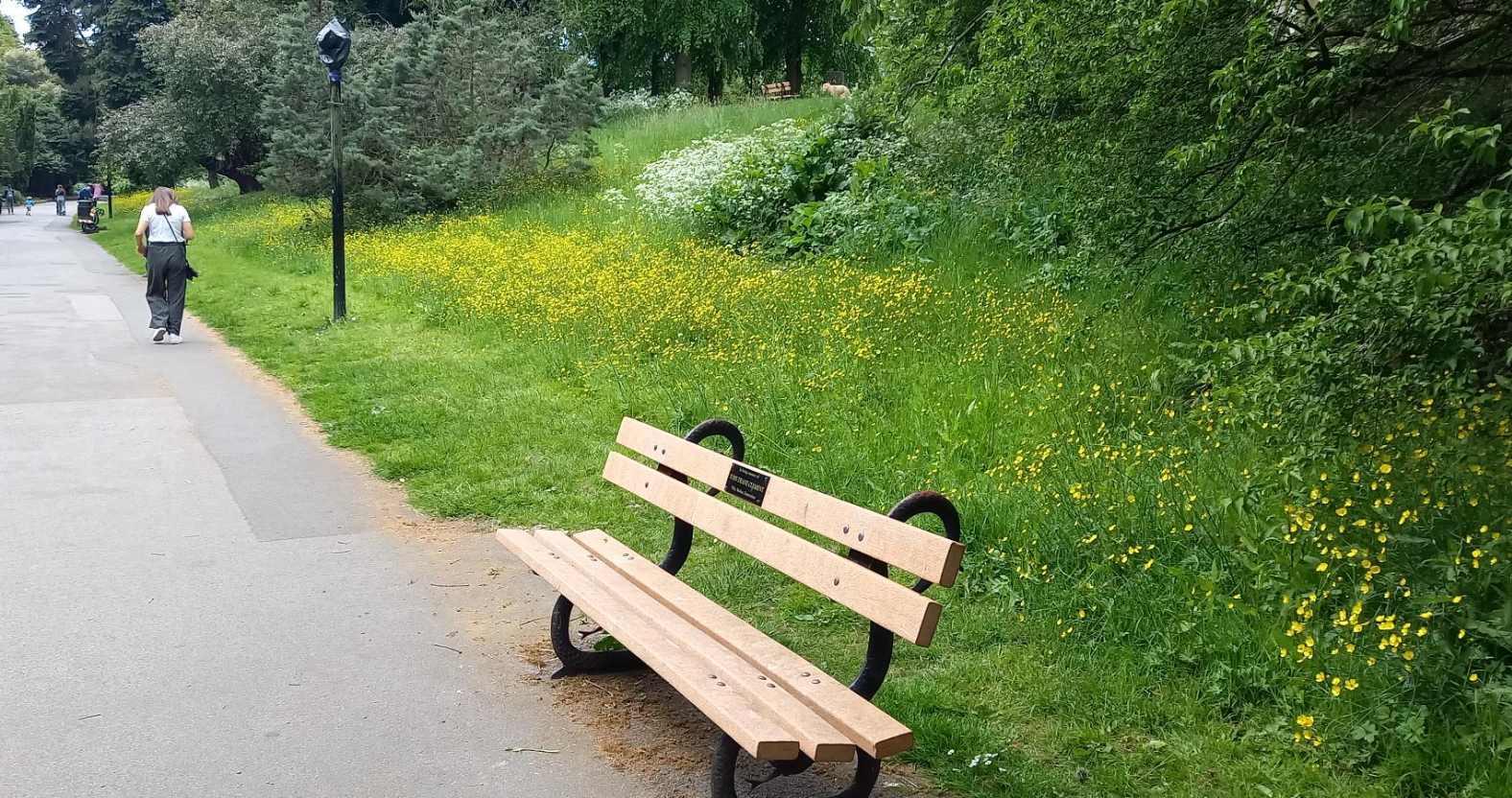 rewilding-valleygardens