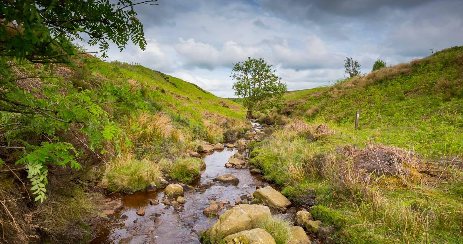 ripion-19-may-2025-source-of-the-skell-dallowgill-moor-chris-lacey-1