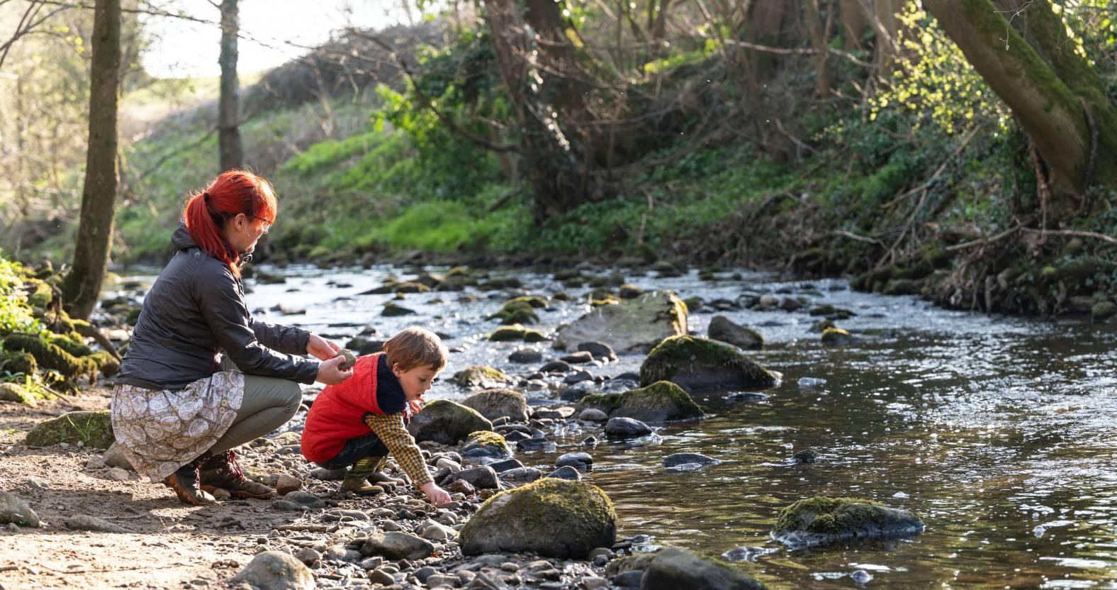 ripon-19-may-2025-river-skell-at-hell-wath-local-nature-reserve-paul-harris
