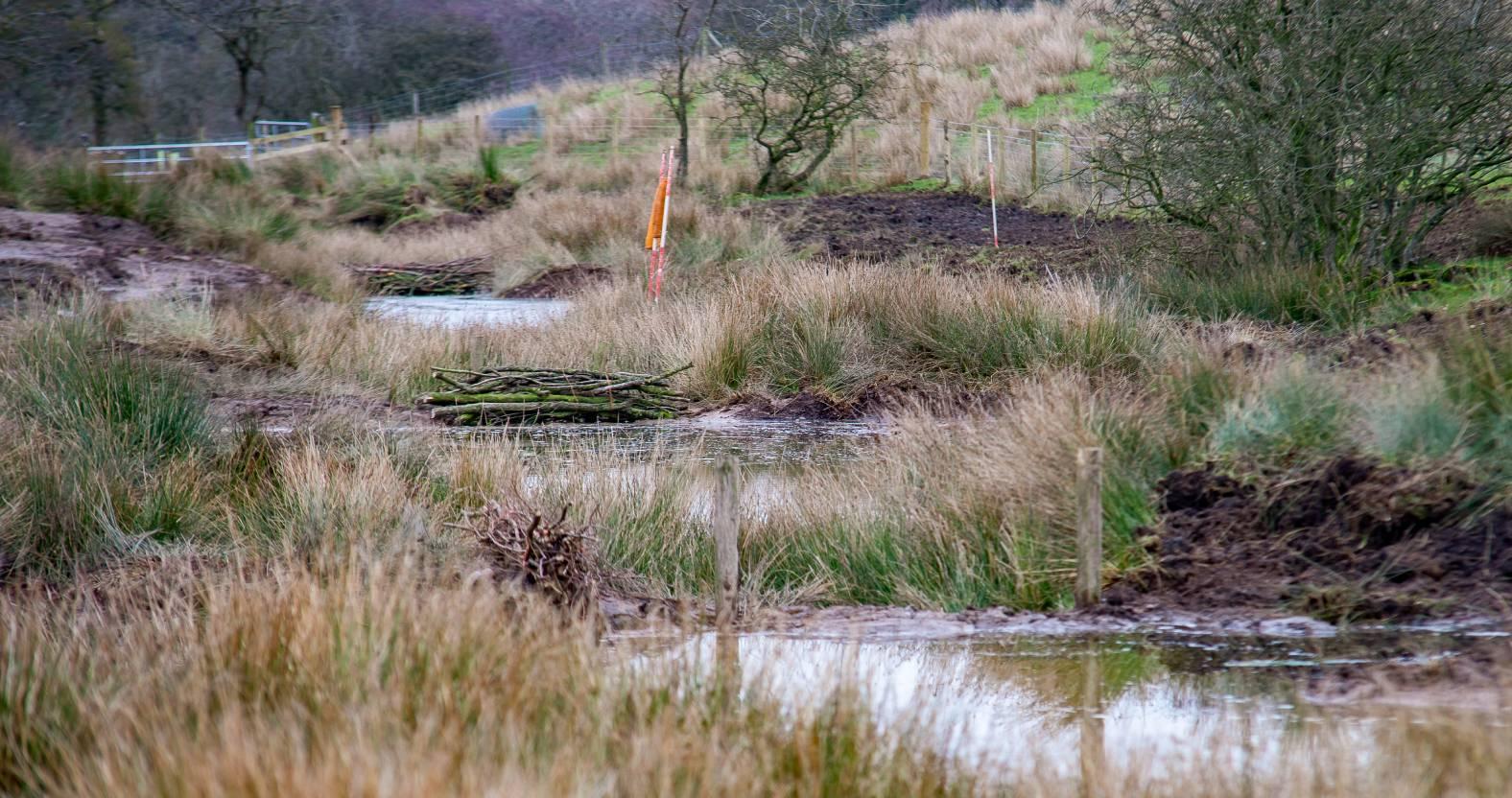 ripon-19-may-2025-creating-natural-flood-management-ponds-skell-valley-farm
