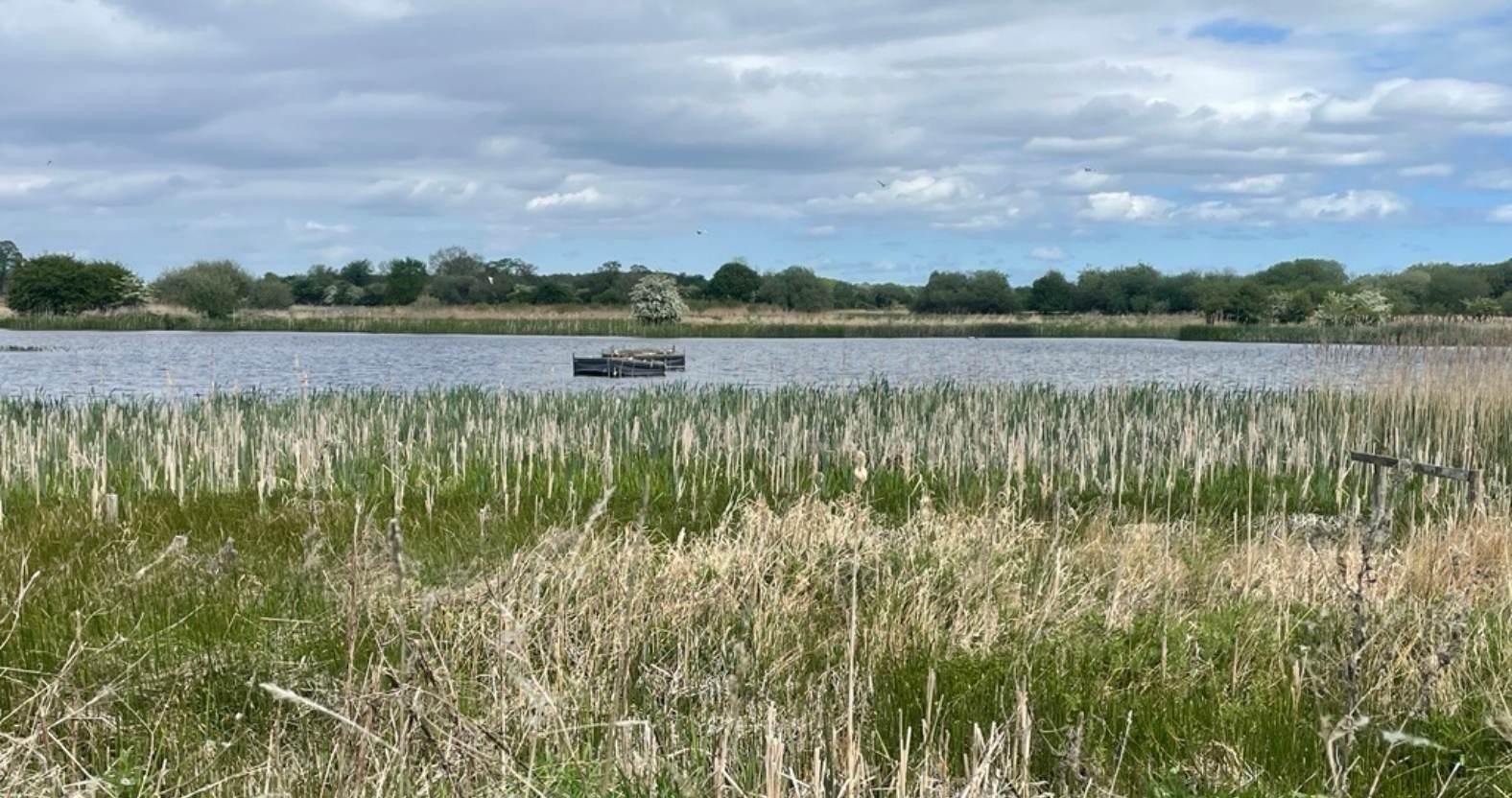 staveleynaturereserve