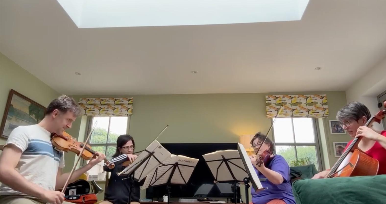 web-the-dales-string-quartet-and-ensemble