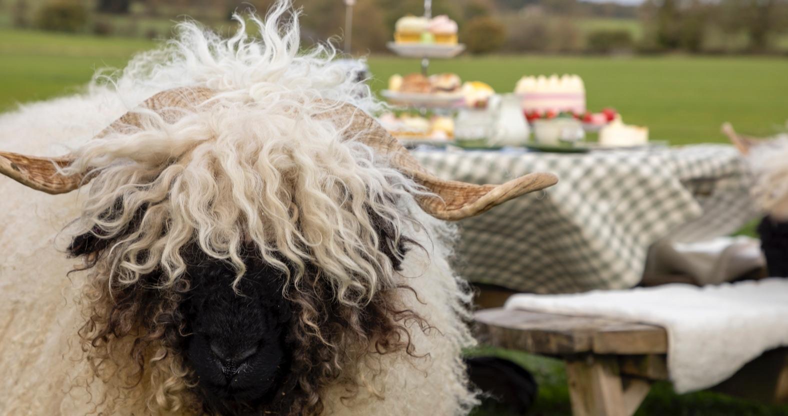 1-credit-kg-photography-1