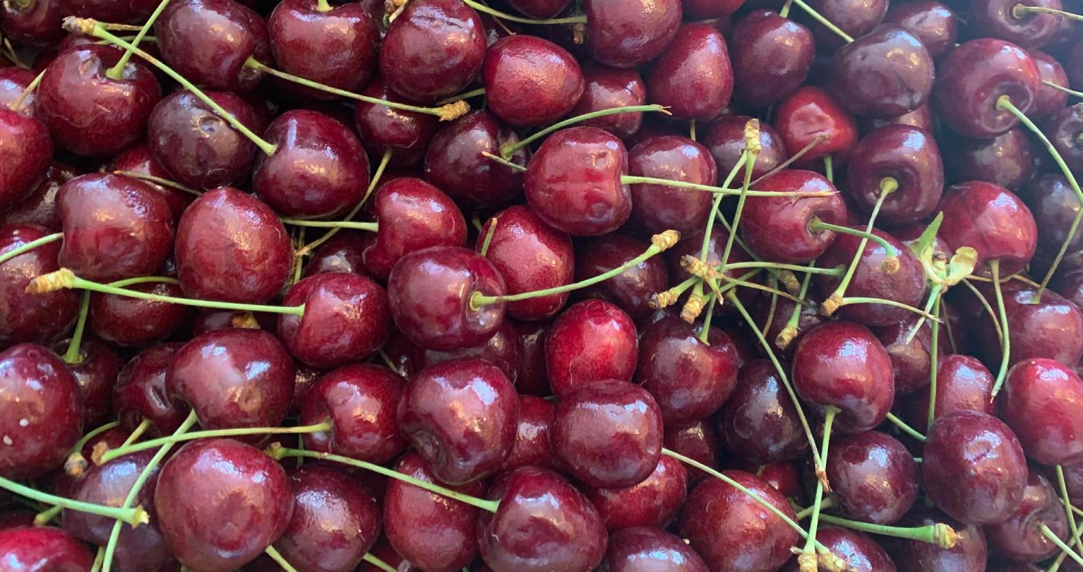 rootsandfruits-cherries