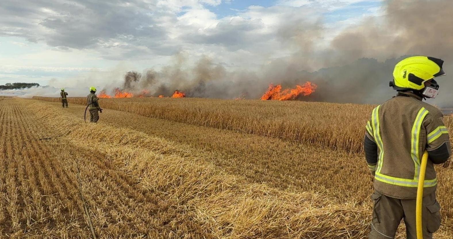 517451820_739057655439005_1691547676527273251_n