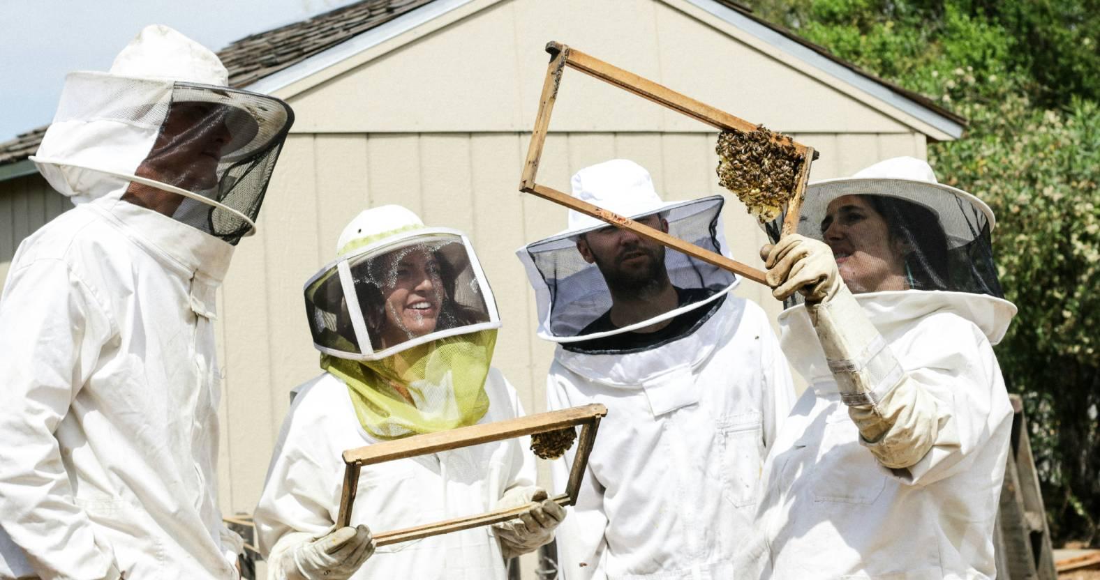 beekeeping-photo_-douglas-raggio-unsplash