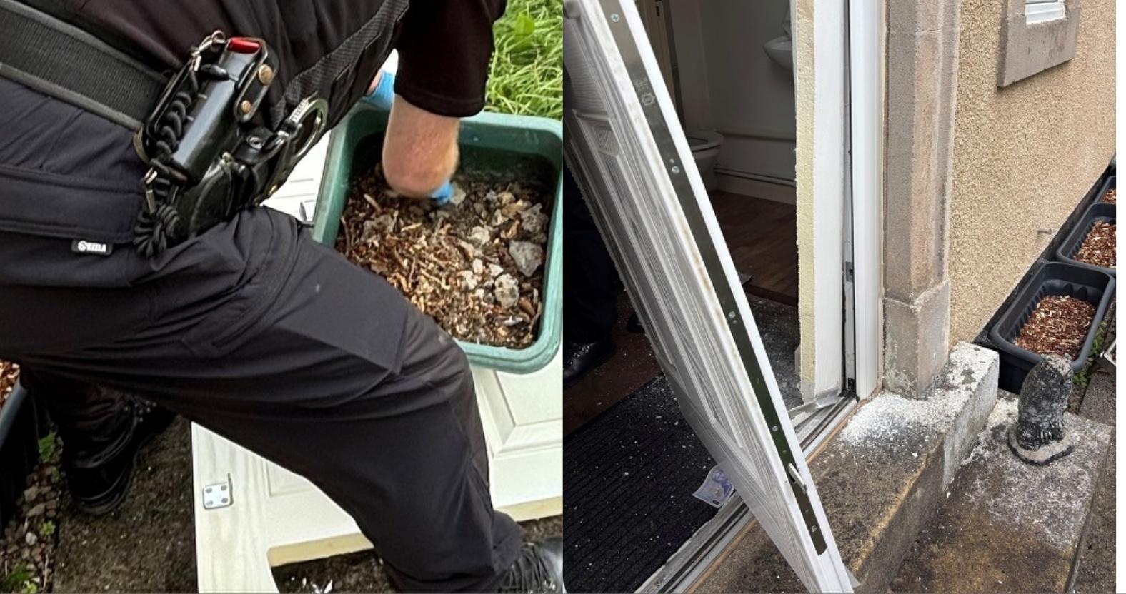 mixcollage-04-jul-2025-10-40-am-1867